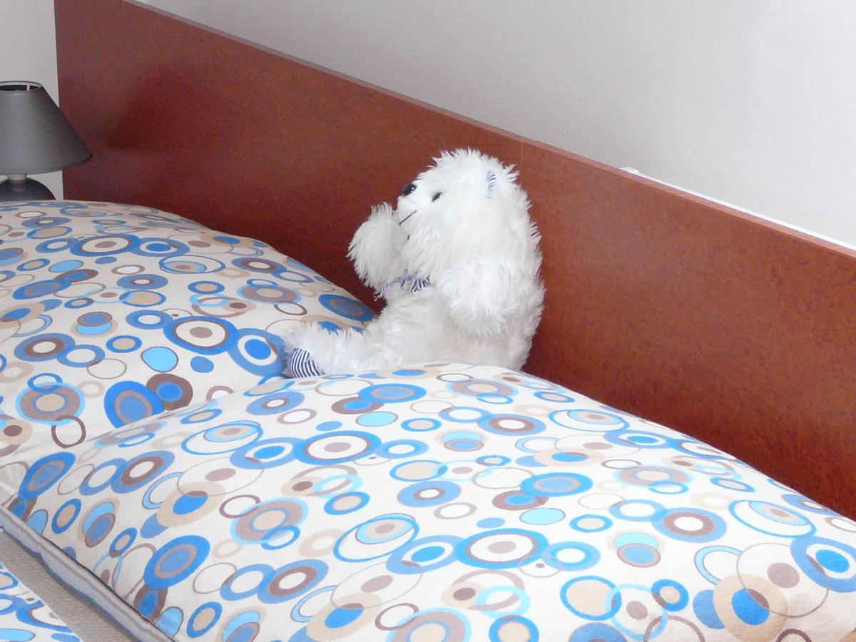 Penzion Praktik Krumlov Přísečná Chambre photo